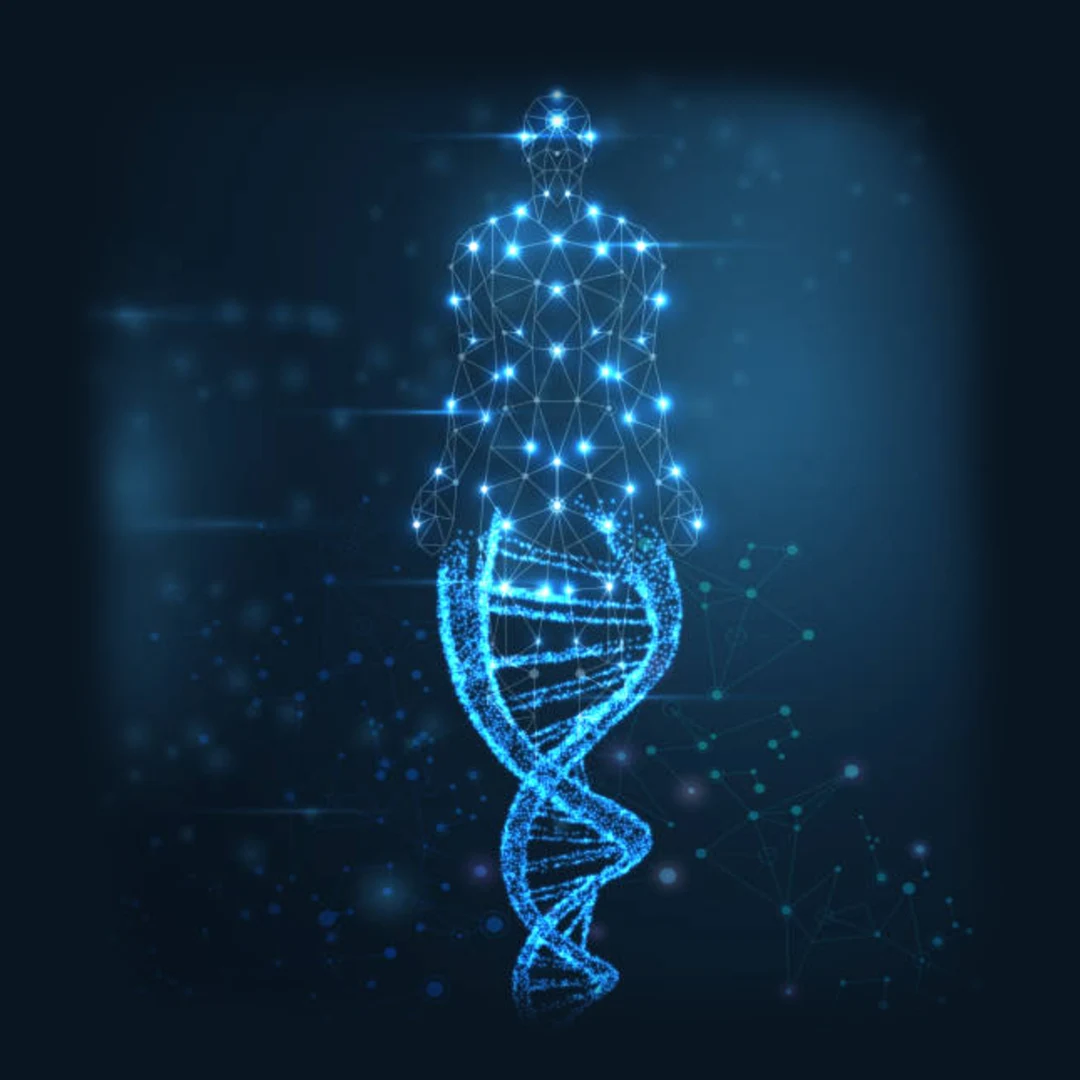 Les études scientifiques sur la biorésonance quantique