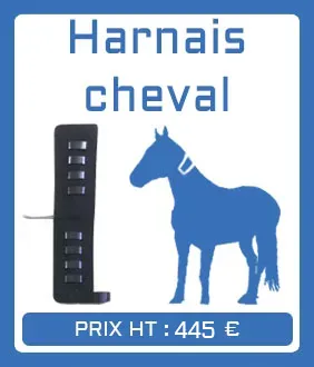 harnais cheval life system biorésonance